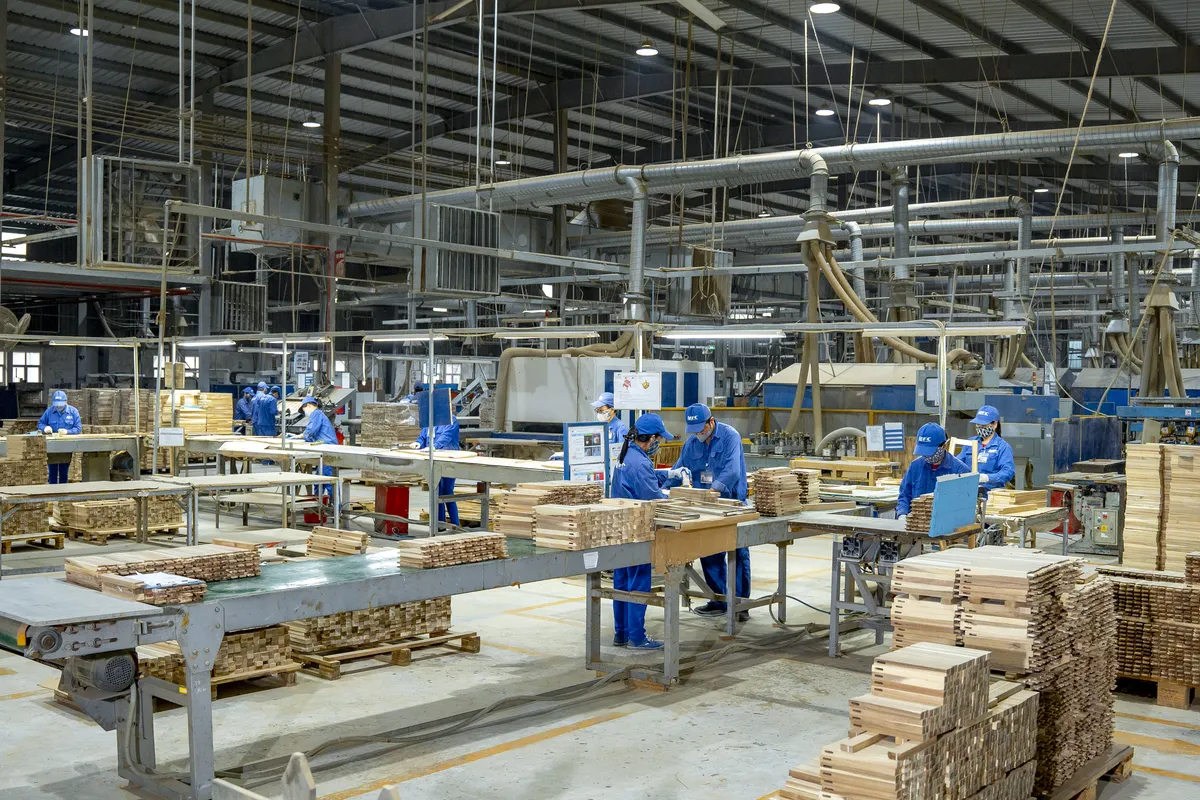 What Is Acacia Wood? The Complete Guide for Furniture Importers & Retailers